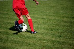 华体会官网入口-英超青训体系中情绪调节训练对青少年比赛焦虑的控制作用，英超青训球员定义